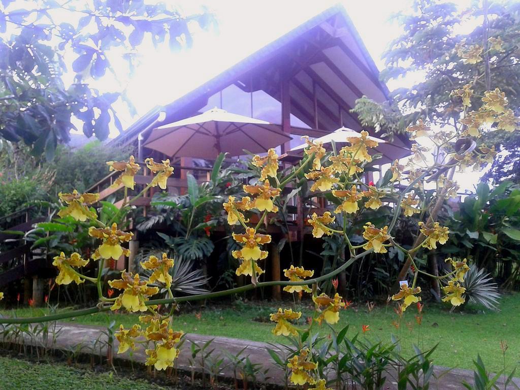 Tenorio Lodge Bijagua Exterior foto